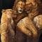 Photo de profil de LionBi