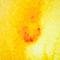 Photo de profil de Sachix
