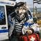 Photo de profil de BreizhWolf