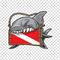 Photo de profil de Jzkay