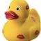 Photo de profil de Canard44