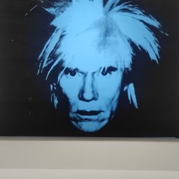 Photo de profil de pop56