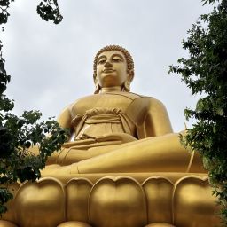 Photo de profil de J767