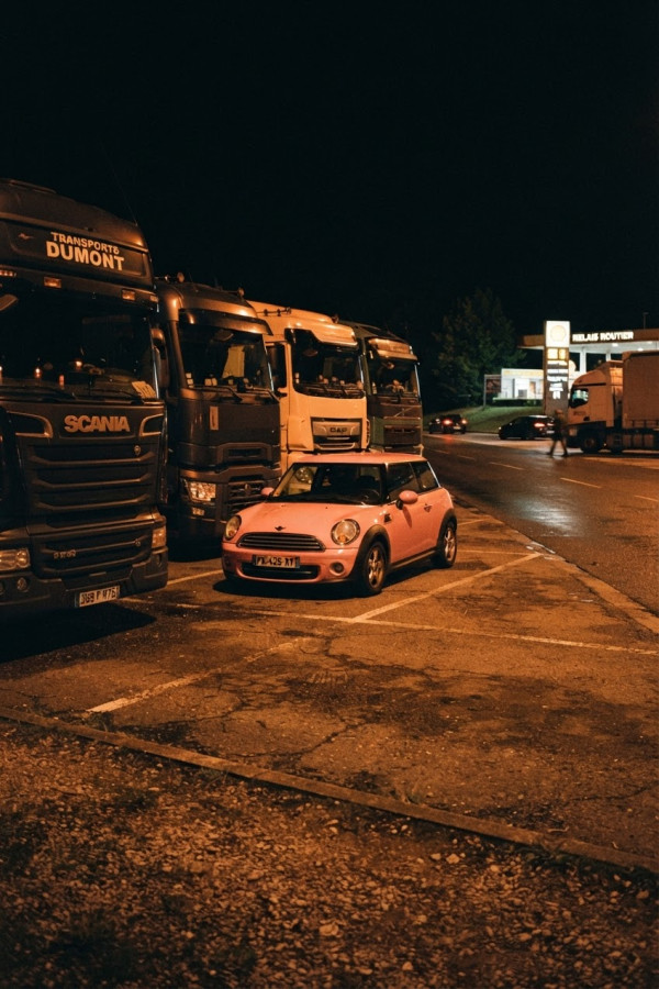 Couverture de Une grosse chienne se fait défoncer à la chaîne par des routiers en manque, par Wedreca
