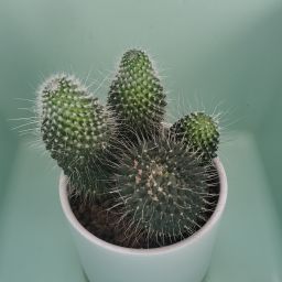 Photo de profil de olivierr82