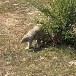 Photo de profil de Kabra8921