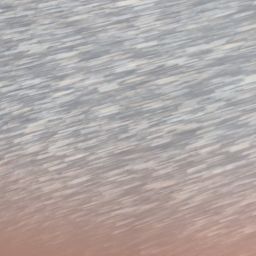 Photo de profil de NicoMau