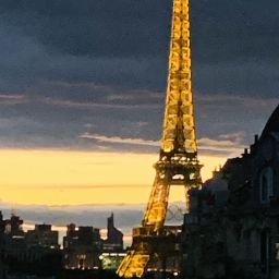 Photo de profil de Domat_75015