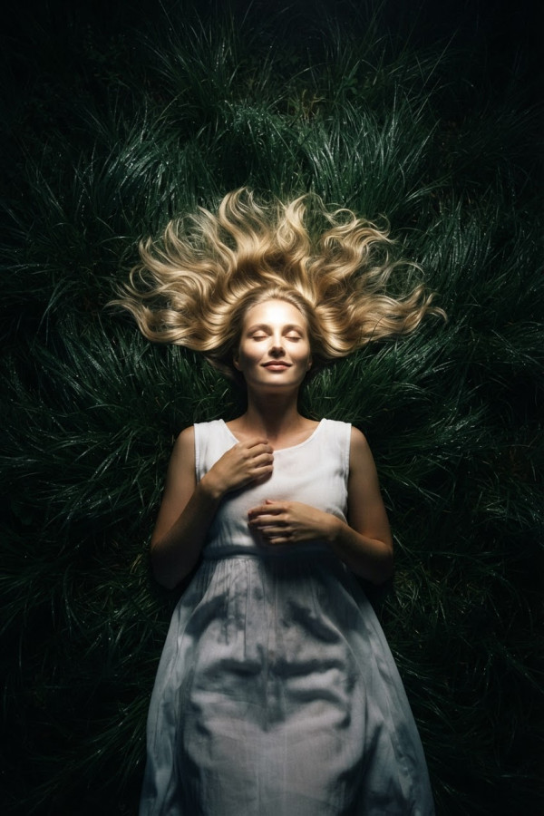 Couverture de La dormeuse du bal, par Wedreca
