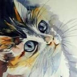 Photo de profil de Marineee
