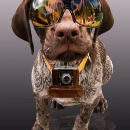 Photo de profil de son's80