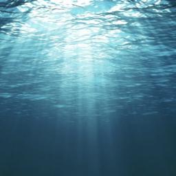Photo de profil de Merjem