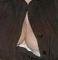 Photo de profil de BribriLesage