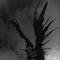 Photo de profil de BlackBlack