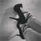 Photo de profil de Feetlover33