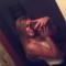 Photo de profil de Sylvanna77
