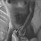 Photo de profil de Maxime_X06