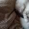 Photo de profil de Cloe18