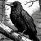 Photo de profil de Monsieur Plume