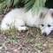 Photo de profil de Christophe517