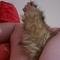 Photo de profil de Lucy La Louve