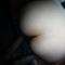 Photo de profil de Max59cochon