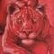 Photo de profil de RedLioness