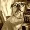Photo de profil de coucouc'estnous