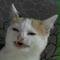 Photo de profil de PussiesSlayer