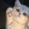 Photo de profil de Lise_N
