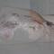 Photo de profil de atnt25