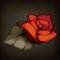 Photo de profil de Agentdelarose